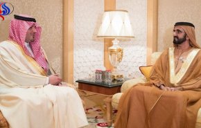 ماذا دار خلال استقبال نائب رئيس الإمارات لوزير داخلية السعودية؟