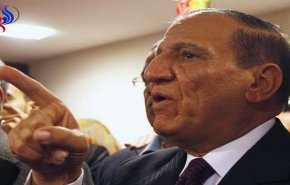 أول تصعيد دولي من مسؤول في حملة المرشح المصري «عنان»