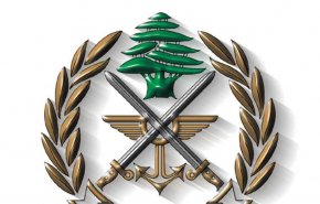 إرهابي خطير شارك في معارك عرسال وتفجير برج البراجنة بقبضة لبنان