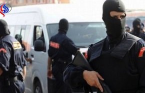 تحالف مصري – مغربي لمواجهة الإرهاب