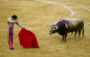 الأمم المتحدة تدعو إسبانيا لمنع الأطفال من حضور مصارعة الثيران