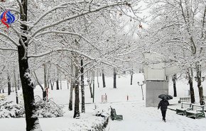 برف و باران تهران را فرا گرفت