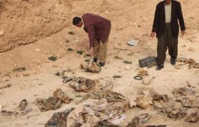 کشف گور دسته‌جمعی در استان نینوی عراق