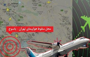 مصر جان باختن شماری از هموطنان ایرانی در سانحه هوایی را تسلیت گفت