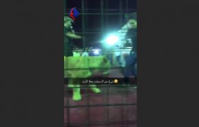 بالفيديو... أسد يهاجم طفلة في السعودية
