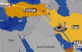 11 نفر در سقوط هواپیمای ترک در ایران جان باختند