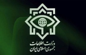 وزارت اطلاعات انتصاب دو تابعیتی ها در پست های مدیریتی دولتی را تکذیب کرد
