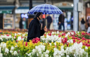 الامطار الربيعية في مدينة همدان غرب ايران
