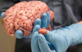 خمس عادات قاتلة لخلايا الدماغ !