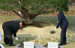 بالفيديو والصور.. زعيما الكوريتين يزرعان شجرة السلام 