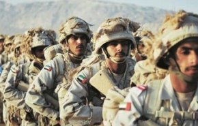 أول رد إماراتي بشأن سقطرى اليمنية