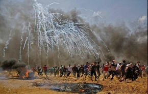 عفو بین الملل خواستار توقف فوری قتل عام در غزه شد