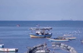 حكاية مدينة: لمحة عن شواطئ غزة