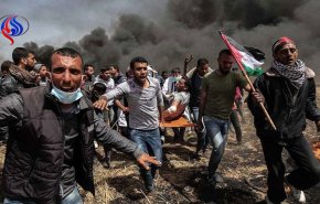 الصحة الفلسطينية: 112 شهيدًا و13 ألف جريح بغزة منذ 30 مارس
