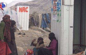بالفيديو.. غياب المساعدات ومنظمات الاغاثة منذ اشهر عن النازحين اليمنيين 