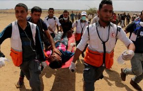 تأکید اردن بر ضرورت اجرای تحقیقات بین‌المللی درباره «کشتار مردم غزه»