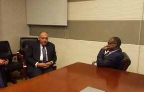 وزير الخارجية المصري يلتقى نظيره السوداني في أديس أبابا