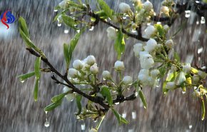 ایران در ضیافت باران بهاری در ماه رحمت/ ترنم باران در 14 استان کشور 