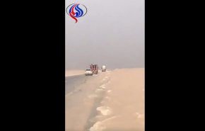 شاهد.. إلاعصار يحول منطقة صحراوية عمانية الى بحيرة واسعة!