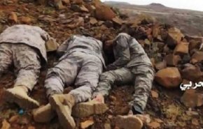 تلفات 450 نفری ائتلاف سعودی در مقابل یگان تک‌تیرانداز یمن
