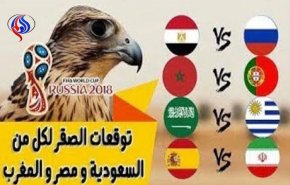توقعات الصقر لـ مباراة السعودية ومصر والمغرب القادمة !!