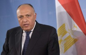 وزير الخارجية المصري: لا حلول عسكرية لأزمتي سوريا وليبيا
