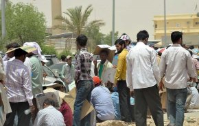 السعودية.. ارتفاع البطالة لمستوى قياسي وتراجع التحويلات