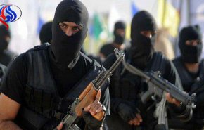 مصر تلقي القبض على خلية إرهابية قادمة من العراق