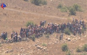 فيديو.. تجمع للاجئين السوريين على الحدود مع الاحتلال بهضبة الجولان
