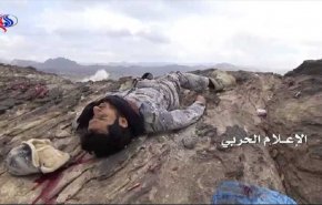 عشرات القتلى والجرحى لمرتزقة السعودية في جيزان ونجران(فيديو)