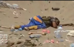 بالفيديو... عملية نوعية لابطال الجيش اليمني