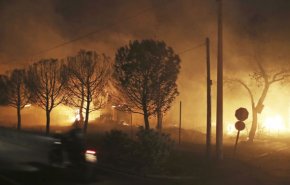 المغرب: 78 حريقا اجتاح الغابات منذ بداية عام 2018