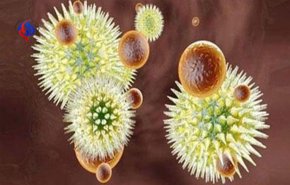 سلالة جديدة من فيروس الإنفلونزا تهدد مليار إنسان 