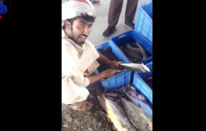 شاهد/ سعوديون ينكلون بتجار السمك العُمانيين