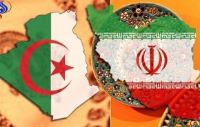 السينما.. جسر التواصل بين ايران والجزائر