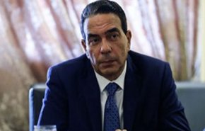 برلماني مصري: في سوريا حرب ممنهجة مكشوفة للجميع