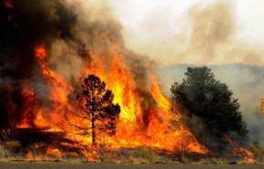حريق هائل في جزيرة ايفيا اليونانية وعمليات إخلاء
