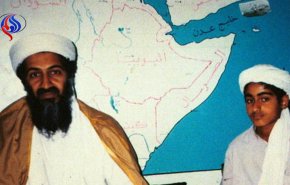 احتمال بازگشت القاعده به سرکردگی پسر بن لادن/ همکاری محرمانه عربستان با القاعده در یمن