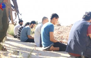 اعدام 6 عنصر داعشی در حومه ادلب توسط گروه رقیب! + تصاویر