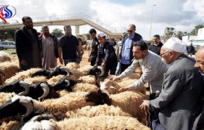 الحكومة الليبية المؤقتة تنفي تلقيها أضاحي العيد من قطر