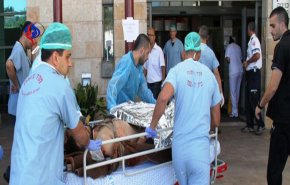 فيروس “النيل الغربي” يثير هلع الإسرائيليين!
