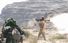 القوات اليمنية تنفذ عمليات نوعية بعسير والساحل الغربي