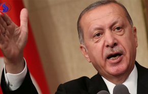 أردوغان: تركيا تحتاج لأنظمة 