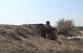 اليمن : بالفيديو...عمليات الجيش واللجان الشعبية بالساحل الغربي
