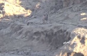 بالفيديو... احباط تقدم فاشل للجيش السعودي قبالة منفذ علب بعسير 