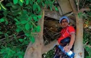 زندگی درختی، هدیه آل سعود برای جوان یمنی!  + فیلم