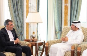 جابري أنصاري ووزير الخارجية القطري يبحثان الأوضاع السورية واليمنية