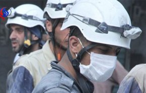 گروه های تروریستی «مواد سمی» را به ادلب سوریه منتقل کردند