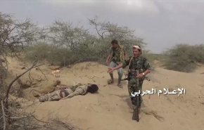 کشته و زخمی شدن شماری از مزدوران سعودی در جبهه نهم