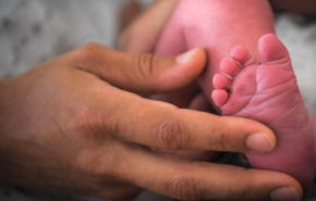 التحقيق بشأن 20 حالة ولادة أطفال دون أطراف في فرنسا